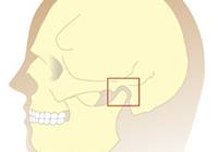 Funktionsdiagnostik